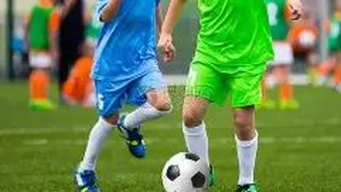 开云体育app投注 产品 090726 m41